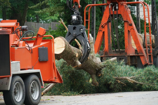 Best Weed Control  in Greenacres, CA